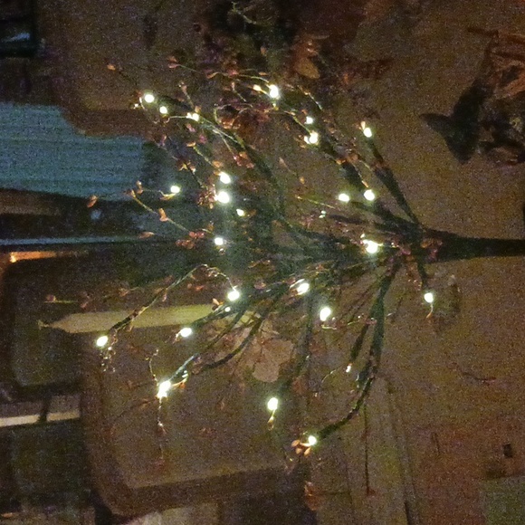 Autumn  Harvest decor/ lighted pip berry tree by valeri/Qvc,24" tall, brand new - Picture 9 of 10